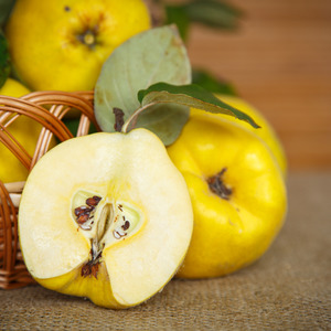 Rare Plants Trees: Japanese Quince