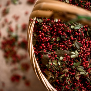 Rare Plants Trees: Szechuan Pepper Tree