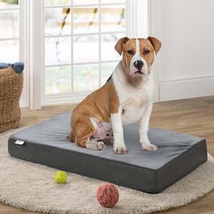 Living: Memory Foam Pet Bed - Large