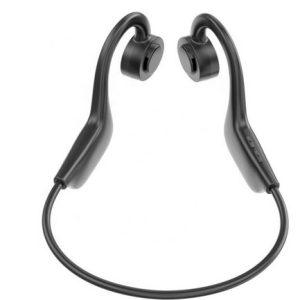 Earphones