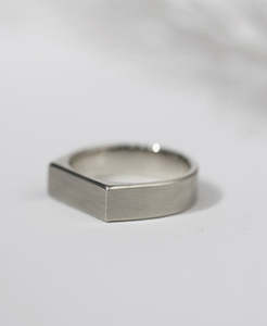 Signet Rings: Eterno Band - Platinum
