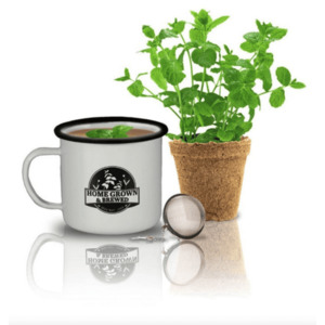 Gardening: Grow & Brew Tea Kit – Peppermint