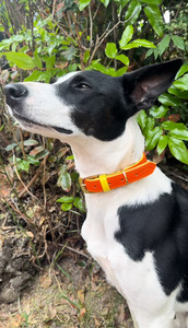 Products: The Roo Zoomies